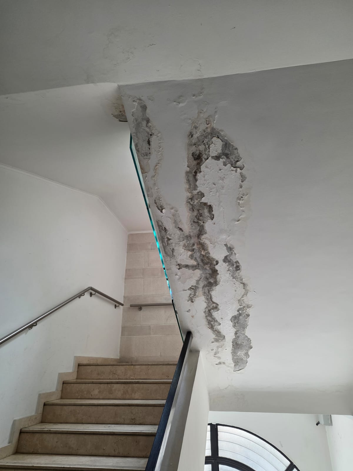Severe water damage and mold on stairwell ceiling